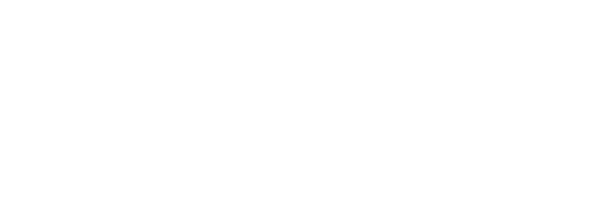 CAQA Governance